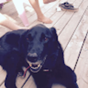 Meet your Posher, Bob